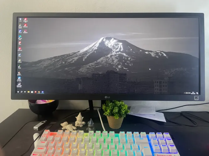 Monitor LG Ultra Wide