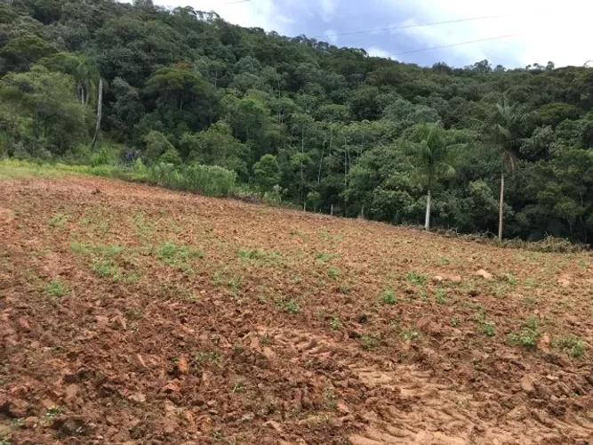 Área 8 hectares, Pastagem, Roça, Riacho, Água de Fonte, Rocinha, São Pedro De Alcântara SC