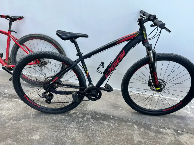 Bicicleta oggi aro 29