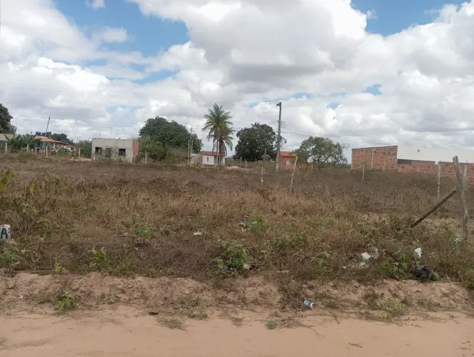 Lote