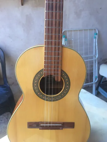 Viola giannini serie MPB 
