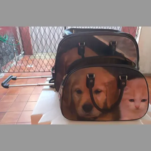 Kit com 2 Malas de Viagem e com Rodinhas.