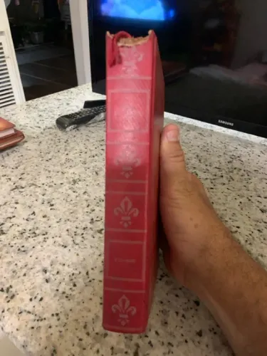 Livro O Guarani