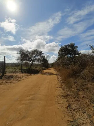 Lotes de 5.000m2 Proximo ao Povoado da Estiva( lotes escriturados)