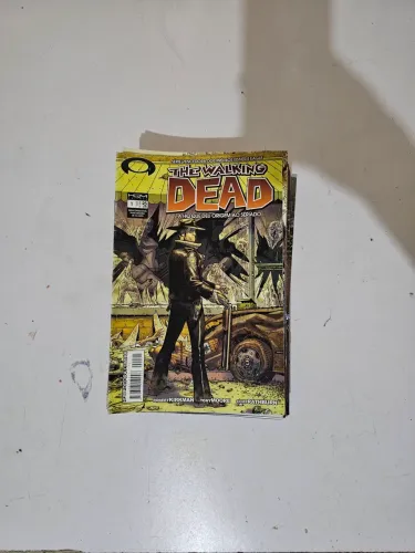 HQ The Walking Dead #1