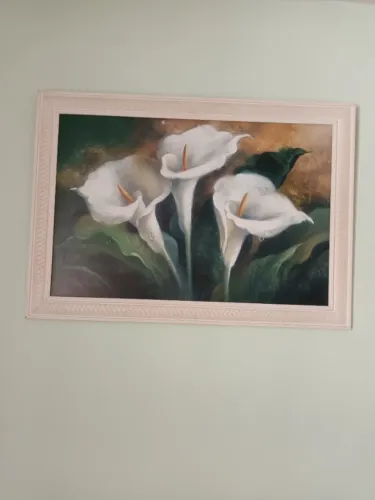 Quadros posters flores varias paisagens 50 reais cada. 
