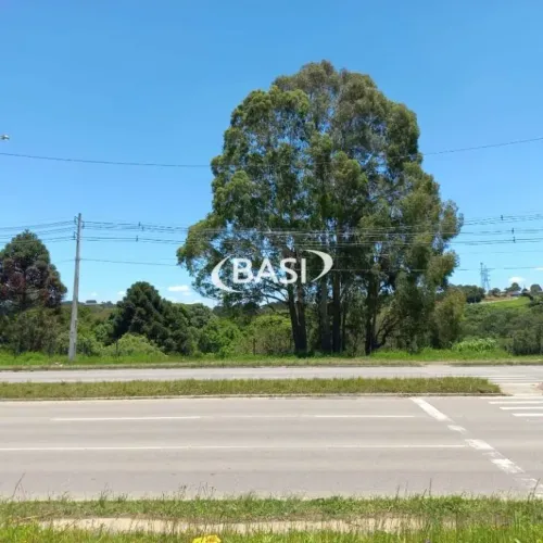 Seu Negócio em Destaque: Terreno de Alto Potencial na Estrada da Ribeira!