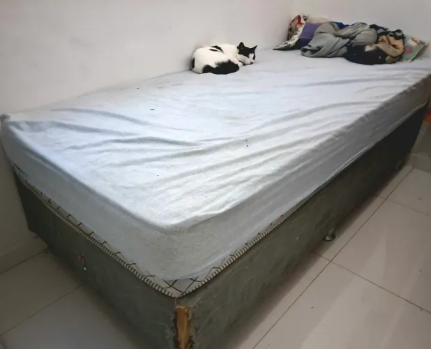 Cama + Box Solteiro