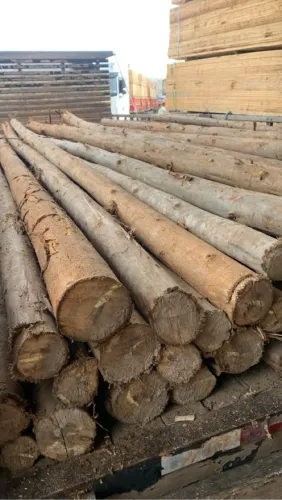 Escoras 4mt comum eucalipto sem tratamento com casca 
