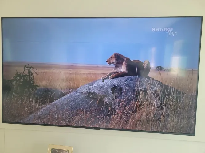 TV TCL 65 POLEGADAS 4K 2399,00 LEIA A DESCRIÇÃO 