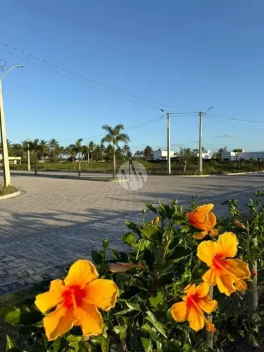 Terreno à venda no Condomínio Cajueiro Boulevard Touros/RN a 10 km de São Miguel do Gosto