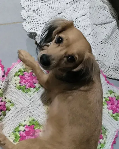 Doação da Cherry