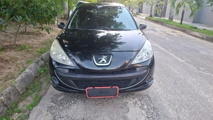 Peugeot 207 XR 1.4 Flex 8V 5P 2009