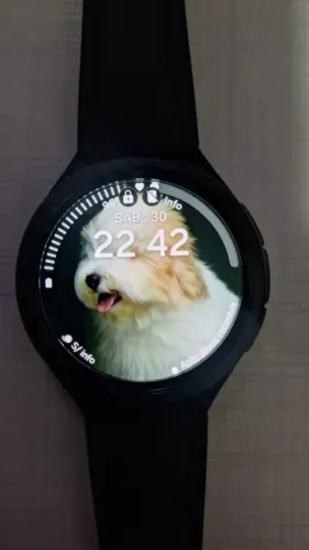 Samsung Smartwatch 6 Classic LTE 43mm