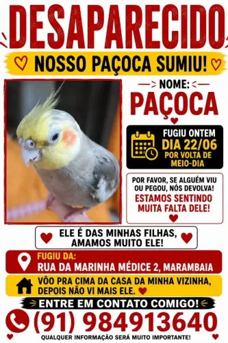 Procurando 
