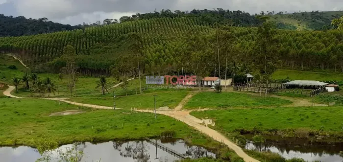 Fazenda à venda, Dário Meira, BA