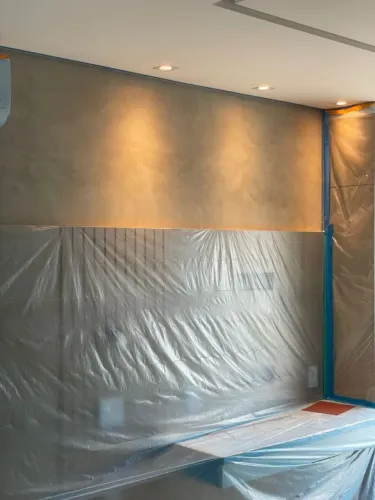 Pintor Profissional
