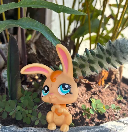 Littlest Pet Shop coelho