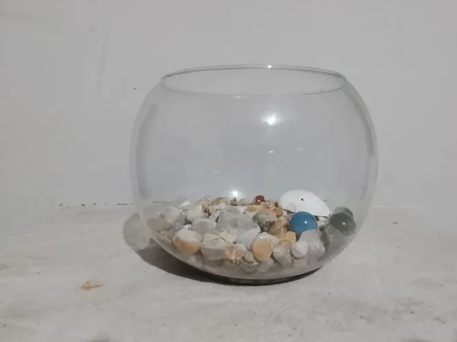 Aquário Com Pedras 