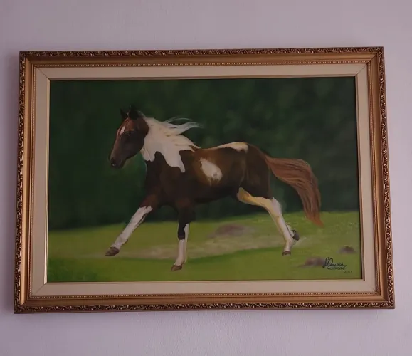 Quadro cavalo 50x40