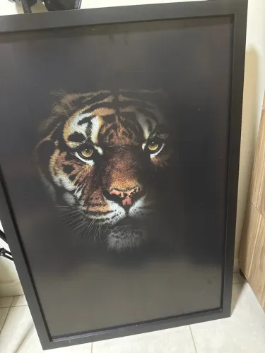 Quadro de tigre