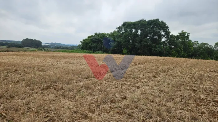 Terreno de 67.700 m em Araucária Ideal para loteamento ou condomínio exclusivo