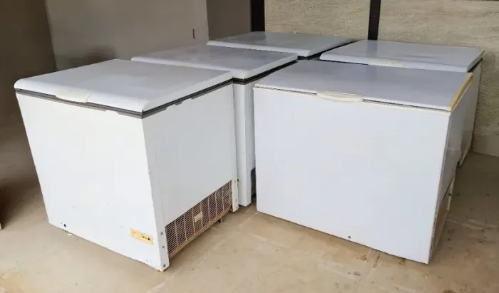 Alugamos freezer