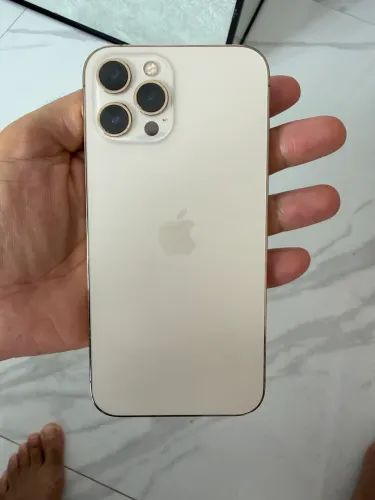 iPhone 12 PRO Max gold 256