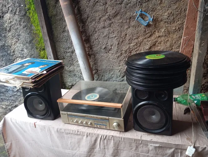 Toca discos vinil frahn 