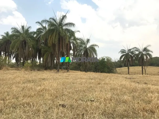 FAZENDA À VENDA - 285 HECTARES - CÓRREGO DANTA (MG)