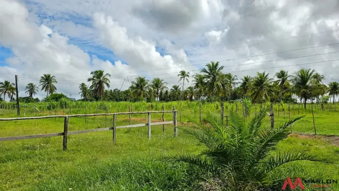 Granja em Macaíba, com 32 hectares, energia solar e poço tubular.