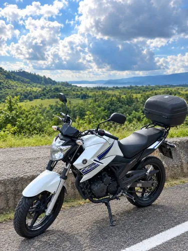 Yamaha YS 250 Fazer/ Fazer L. Edition /blueflex 2014