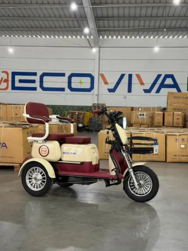 Triciclo Elétrico 1.000W