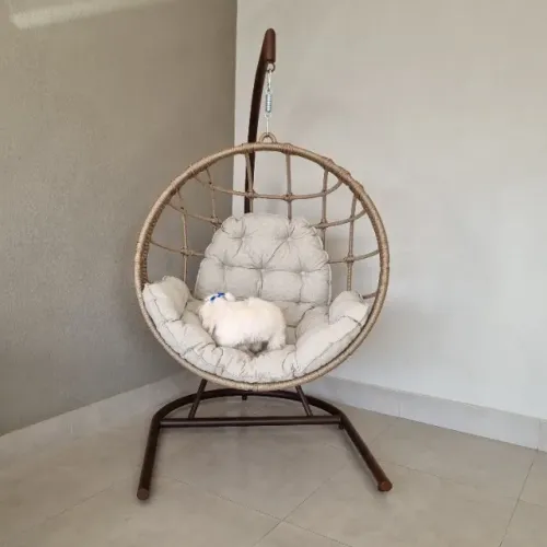 KIT BALANÇO