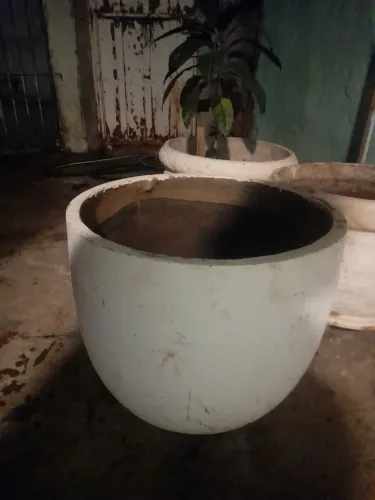 Vaso de concreto 30. L tenho. 4. 1 com. Uma muda de Limao  