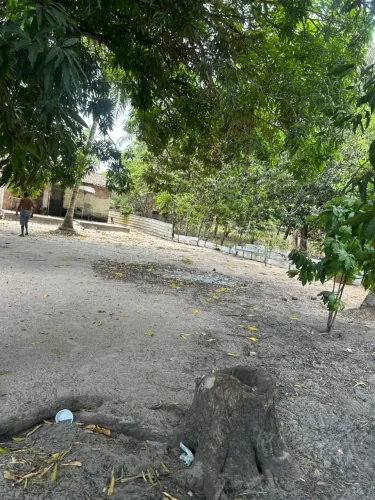 Vendo sítio com 3 casas