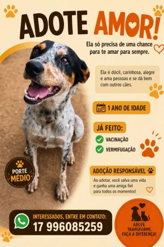 Doação responsável 