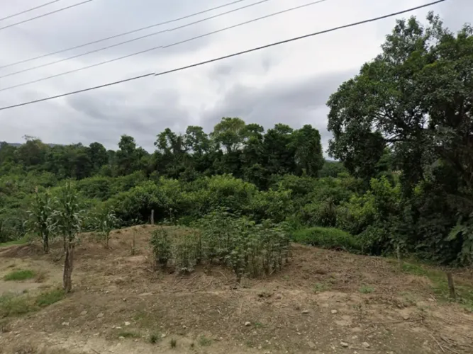 Terreno, 250.000m², Mirim Doce/SC