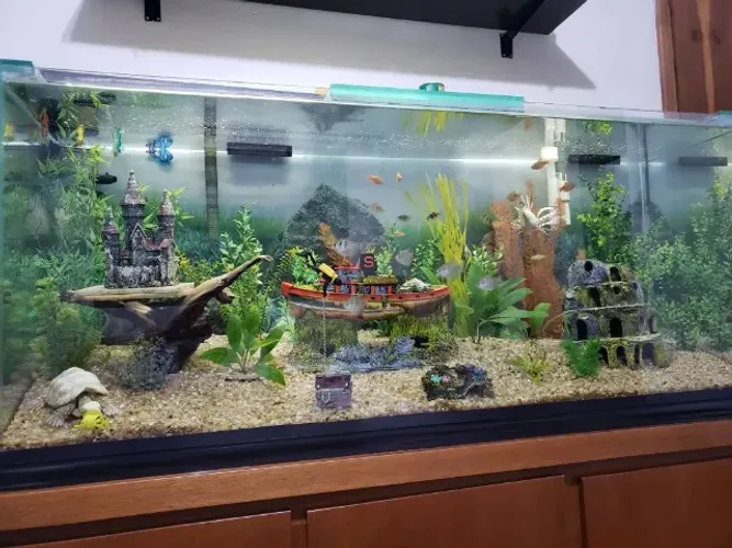 Aquário 300 Litros