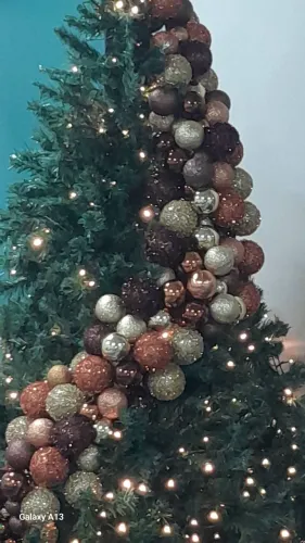 Vendo árvore de Natal