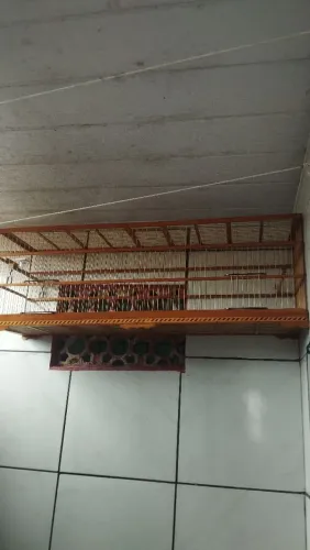 Voador de trinca ferro parafusado