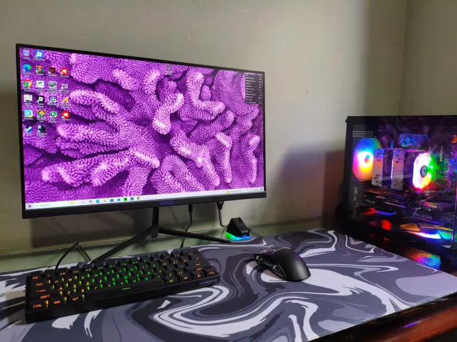 Pc gamer