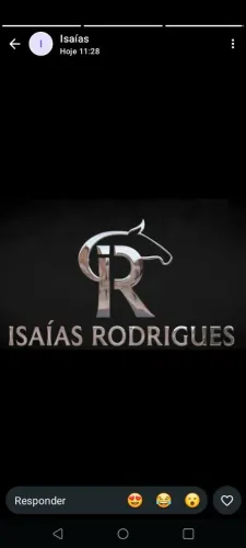 correção e iniciação de cavalos para vaquejada