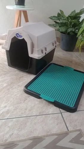 Casinha de cachorro com tapete higiênico