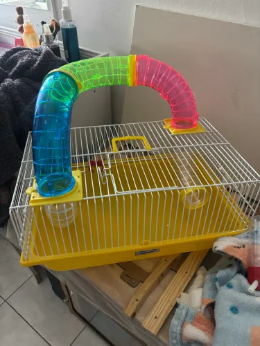 Gaiola 