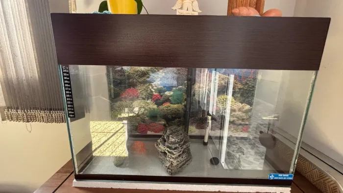 Aquário completo com balcão
