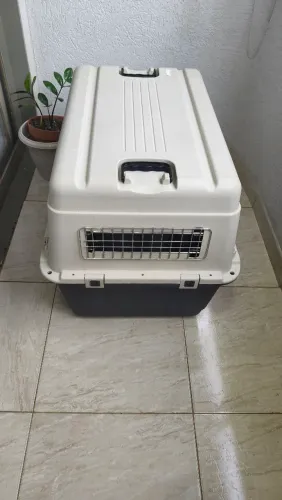 Caixa de transporte para cachorro médio porte