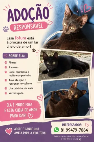 Adoção responsável