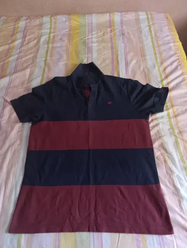 Camisas masculinas(Leia anúncio pra não haver dúvidas)