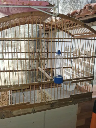 Vendo 04.gaiolas usadas